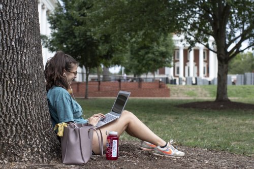 Student on the Lawn against a tree with a laptop