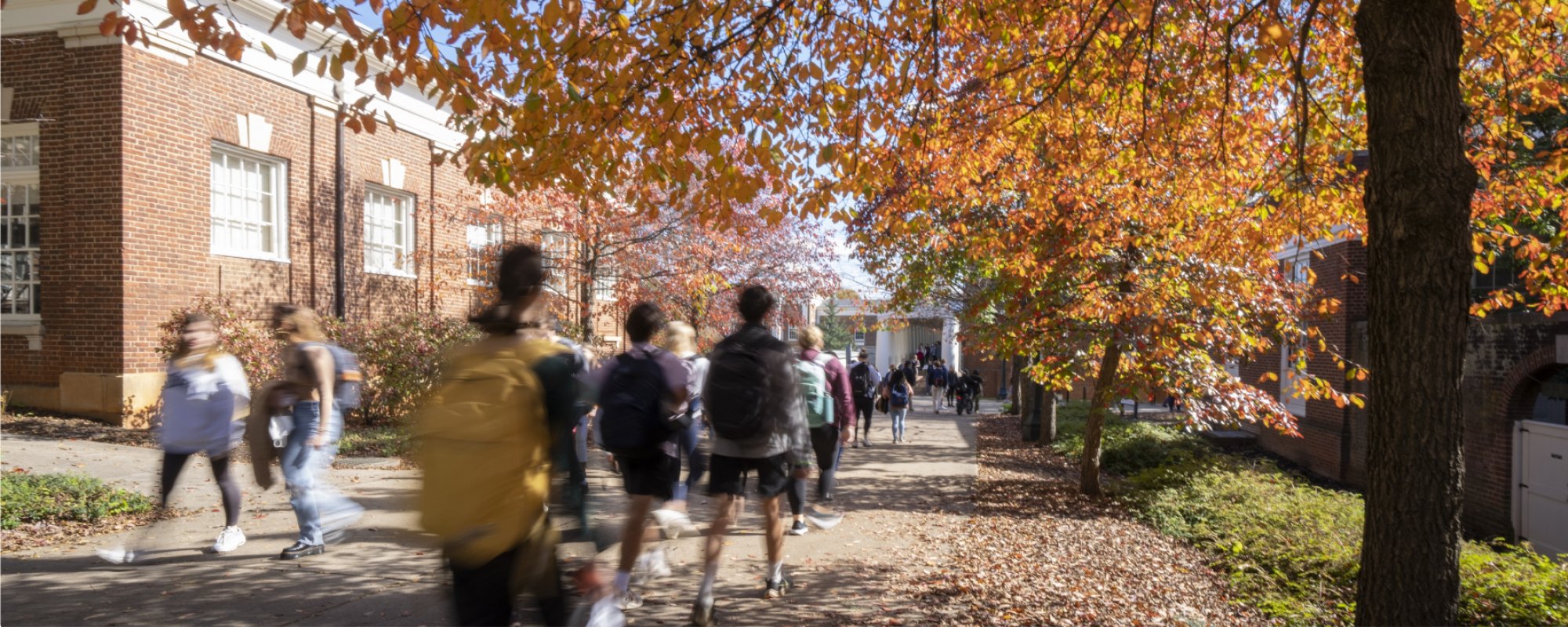Students walking in front of brick building with fall leaves
