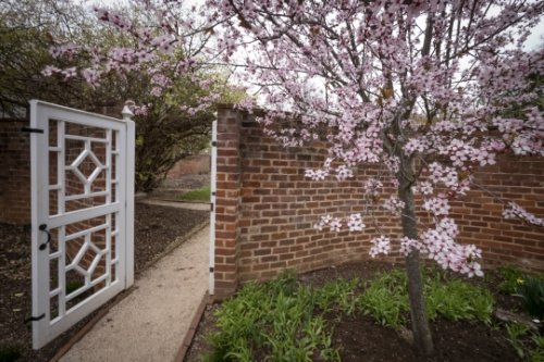 Garden Gate open with spring flowers