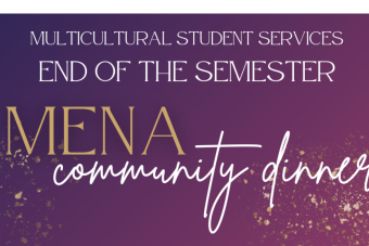 MENA Community Dinner